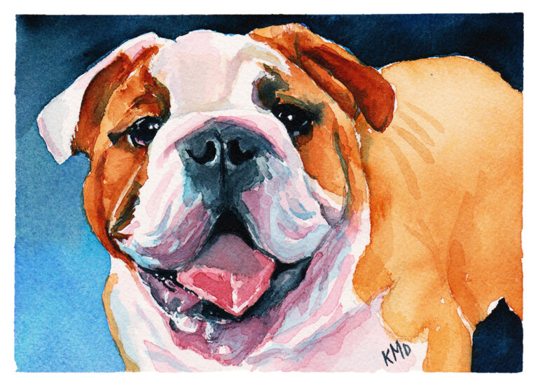 Bulldog Painting in watercolor