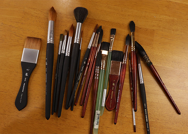 Aqua Elite vs Neptune brushes