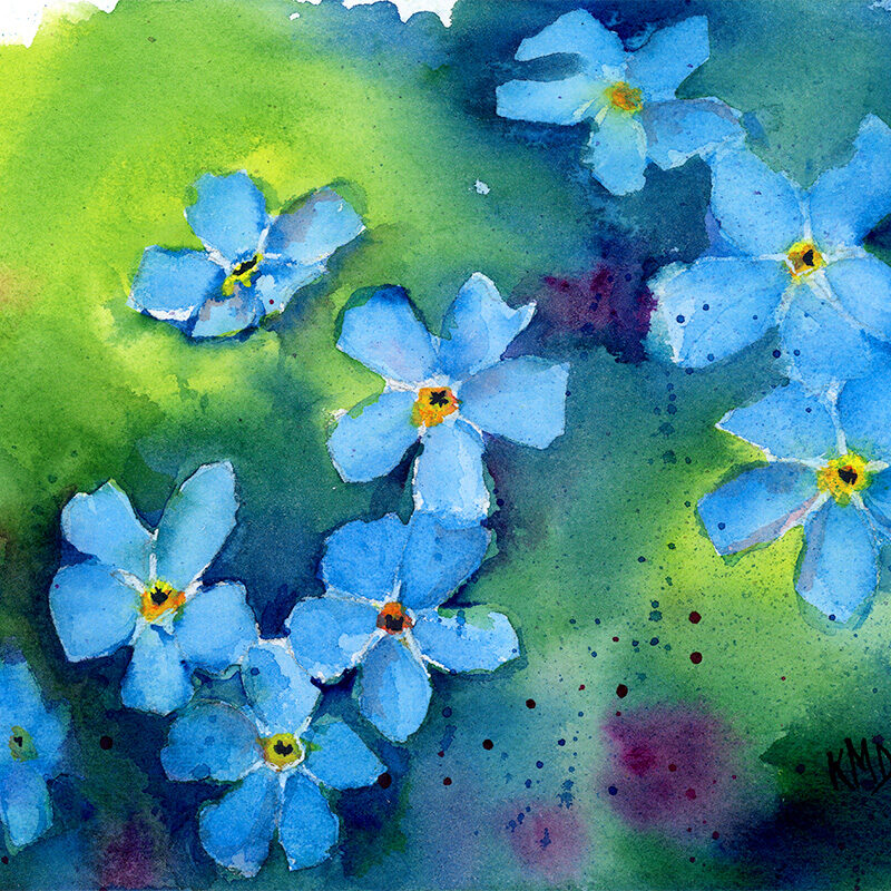 Forget Me Nots