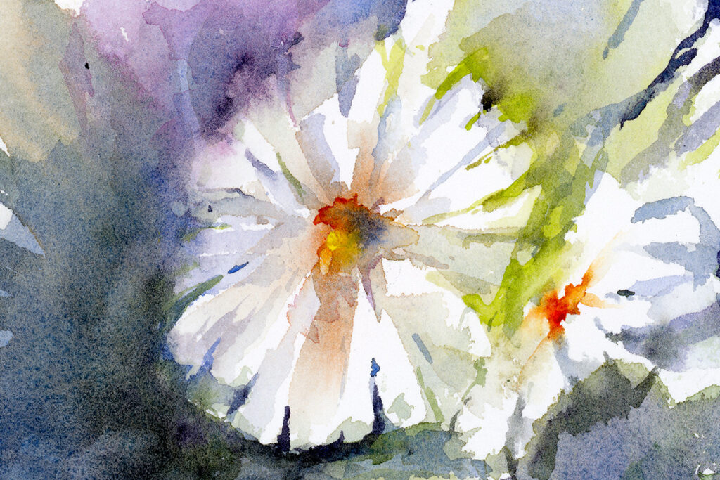Fresh Daisies