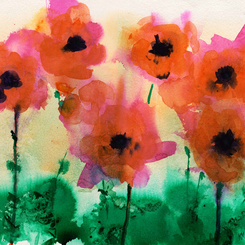 Poppies