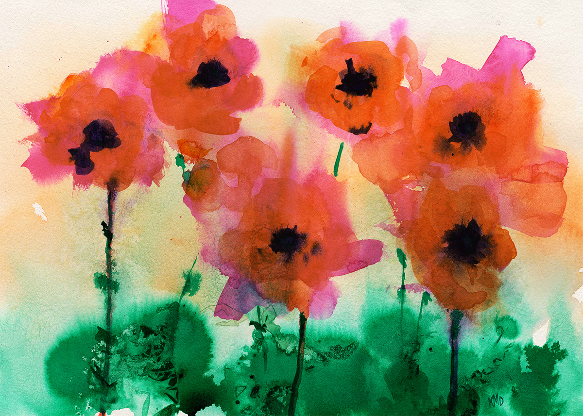 Poppies