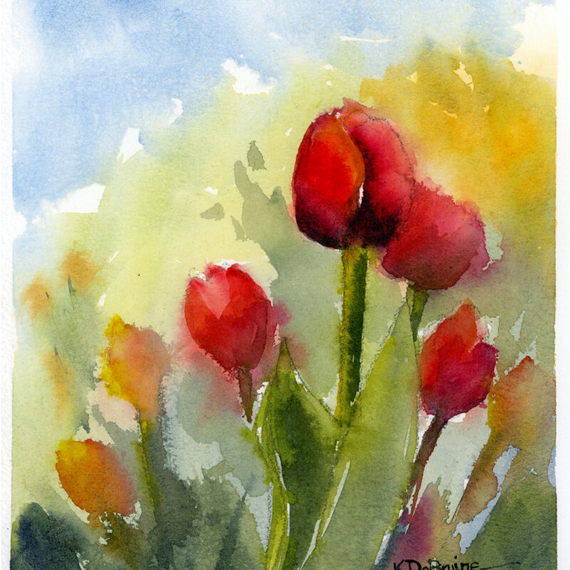 Red and Yellow Tulips