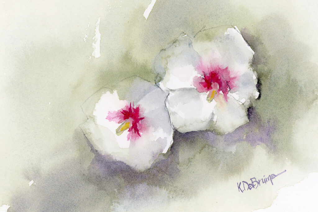 Rose of Sharon
