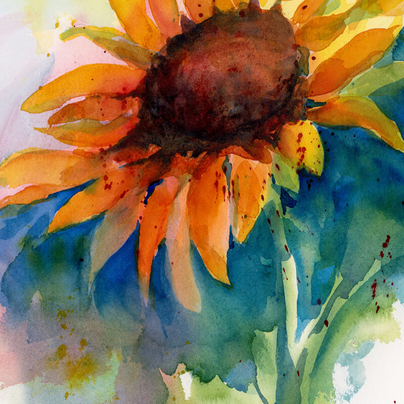 Sunflower