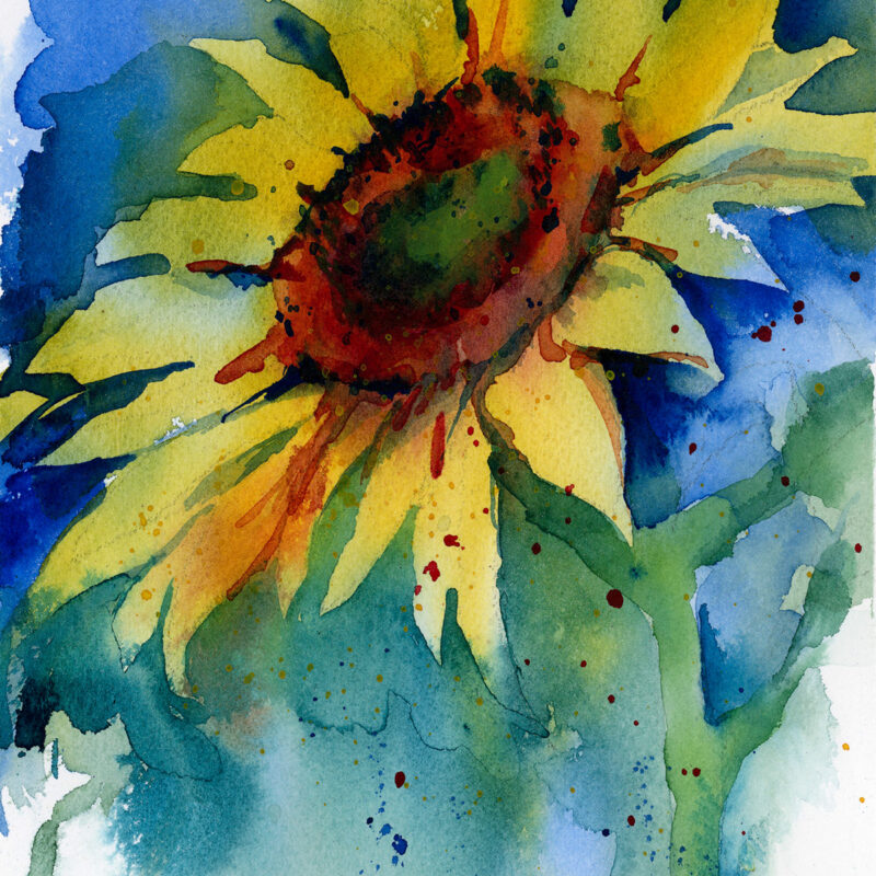 Sunflower Out of the Blue