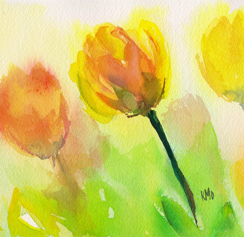 Tulips