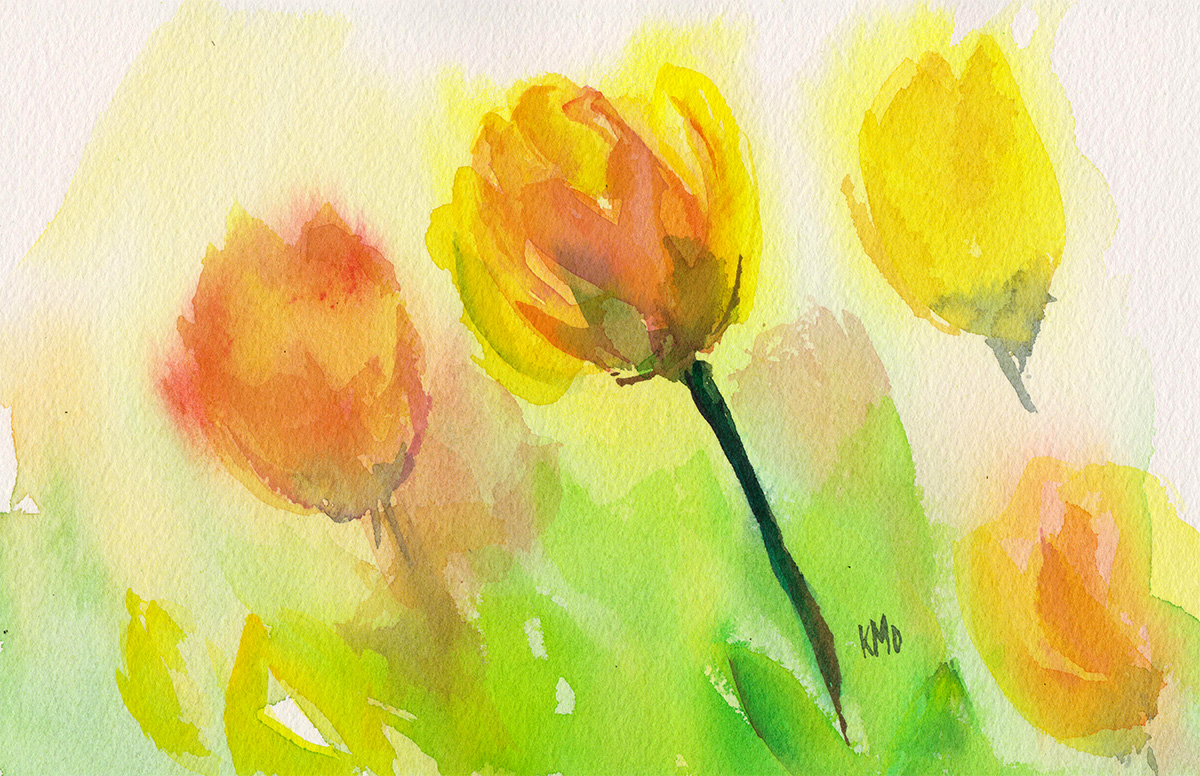 Tulips